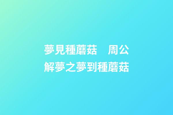 夢見種蘑菇　周公解夢之夢到種蘑菇